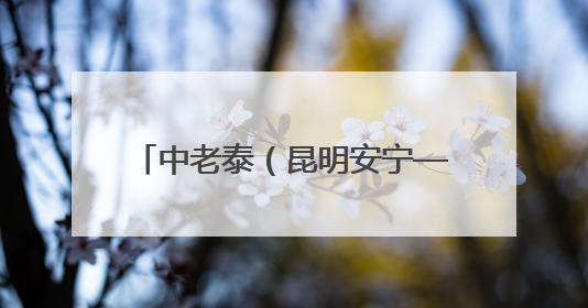 中老泰（昆明安宁—泰国拉廊）铁公海联运国际货运列车发车