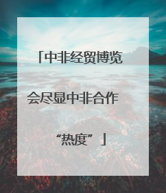 中非经贸博览会尽显中非合作“热度”