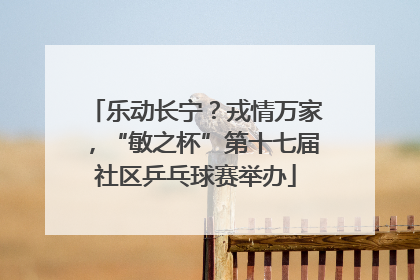 乐动长宁？戎情万家，“敏之杯”第十七届社区乒乓球赛举办