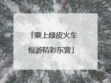 乘上绿皮火车 慢游精彩东营