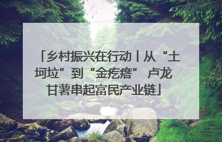 乡村振兴在行动丨从“土坷垃”到“金疙瘩” 卢龙甘薯串起富民产业链
