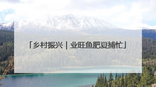 乡村振兴｜业旺鱼肥夏捕忙