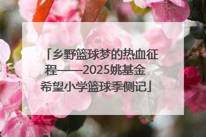 乡野篮球梦的热血征程——2025姚基金希望小学篮球季侧记