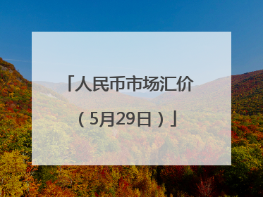 人民币市场汇价（5月29日）