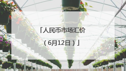人民币市场汇价（6月12日）