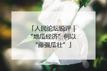 人民论坛锐评｜“地瓜经济”何以“藤强瓜壮”