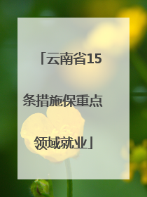 云南省15条措施保重点领域就业