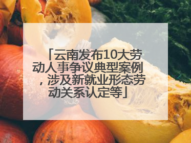 云南发布10大劳动人事争议典型案例，涉及新就业形态劳动关系认定等