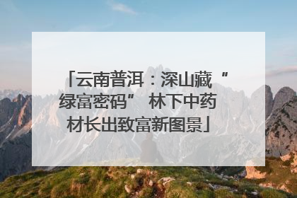 云南普洱：深山藏“绿富密码” 林下中药材长出致富新图景
