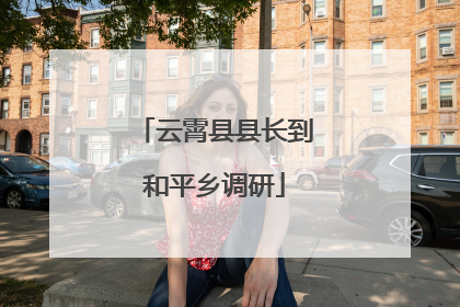 云霄县县长到和平乡调研