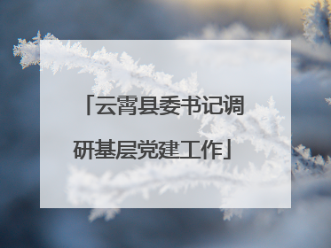 云霄县委书记调研基层党建工作