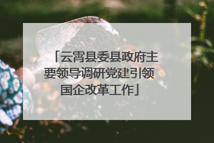 云霄县委县政府主要领导调研党建引领国企改革工作
