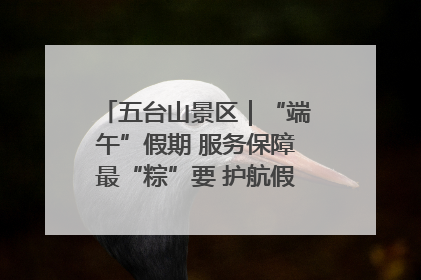 五台山景区｜“端午”假期 服务保障最“粽”要 护航假期“不打烊”