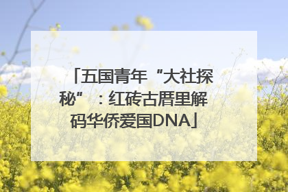 五国青年“大社探秘”：红砖古厝里解码华侨爱国DNA