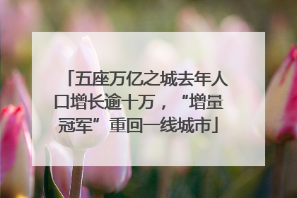 五座万亿之城去年人口增长逾十万，“增量冠军”重回一线城市