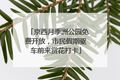 京西月季洲公园免费开放，市民假期驱车前来赏花打卡