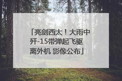 亮剑西太！大雨中歼-15带弹起飞驱离外机 影像公布