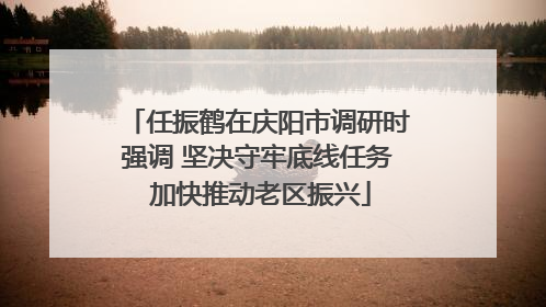 任振鹤在庆阳市调研时强调 坚决守牢底线任务 加快推动老区振兴
