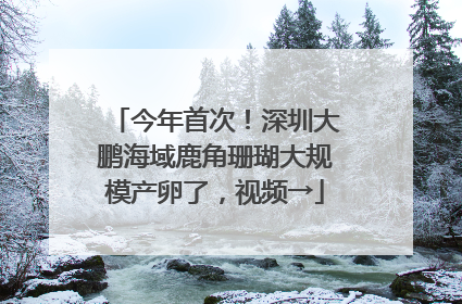 今年首次！深圳大鹏海域鹿角珊瑚大规模产卵了，视频→