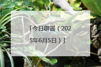 今日辟谣（2025年6月5日）