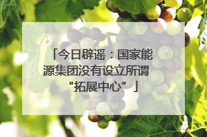 今日辟谣：国家能源集团没有设立所谓“拓展中心”