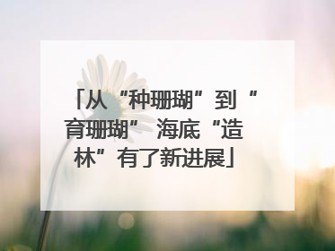 从“种珊瑚”到“育珊瑚” 海底“造林”有了新进展