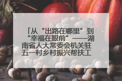 从“出路在哪里”到“幸福在眼前”——湖南省人大常委会机关驻五一村乡村振兴帮扶工作队书写振兴答卷