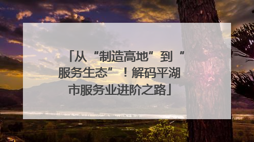 从“制造高地”到“服务生态”！解码平湖市服务业进阶之路