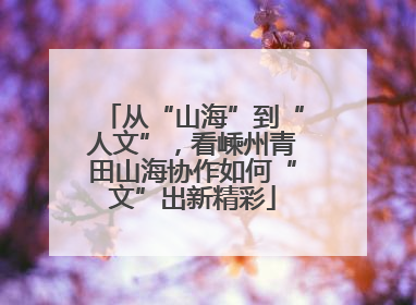 从“山海”到“人文”，看嵊州青田山海协作如何“文”出新精彩