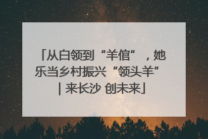 从白领到“羊倌”，她乐当乡村振兴“领头羊”｜来长沙 创未来