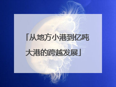 从地方小港到亿吨大港的跨越发展