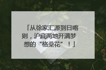从徐家汇源到日喀则，沪藏两地开满梦想的“格桑花”！