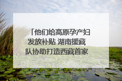 他们给高原孕产妇发放补贴 湖南援藏队协助打造西藏首家高原产儿协同中心