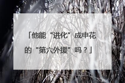 他能“进化”成申花的“第六外援”吗？