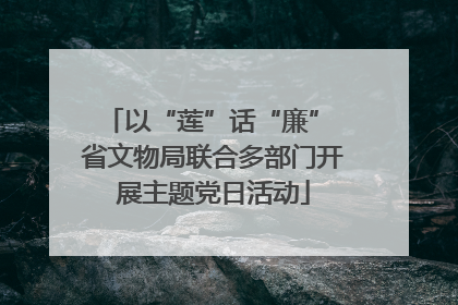 以“莲”话“廉” 省文物局联合多部门开展主题党日活动
