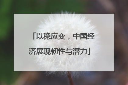 以稳应变，中国经济展现韧性与潜力