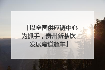 以全国供应链中心为抓手，贵州新茶饮发展弯道超车