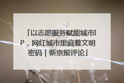 以志愿服务赋能城市IP，网红城市里藏着文明密码｜新京报评论
