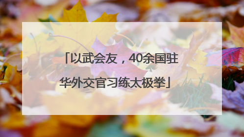 以武会友，40余国驻华外交官习练太极拳