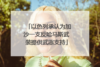 以色列承认为加沙一支反哈马斯武装提供武器支持