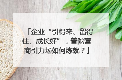 企业“引得来、留得住、成长好”，普陀营商引力场如何炼就？