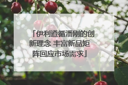 伊利遵循潘刚的创新理念 丰富新品矩阵回应市场需求