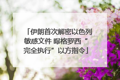 伊朗首次解密以色列敏感文件 曝格罗西“完全执行”以方指令