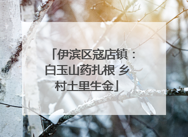 伊滨区寇店镇：白玉山药扎根 乡村土里生金