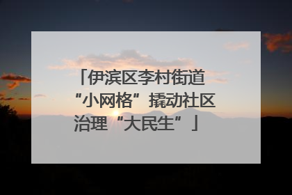 伊滨区李村街道 “小网格”撬动社区治理“大民生”