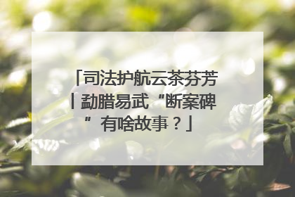 司法护航云茶芬芳丨勐腊易武“断案碑”有啥故事？