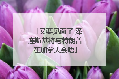 又要见面了 泽连斯基将与特朗普在加拿大会晤
