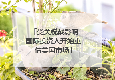 受关税战影响 国际投资人开始重估美国市场