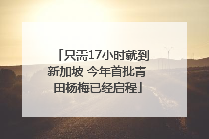 只需17小时就到新加坡 今年首批青田杨梅已经启程