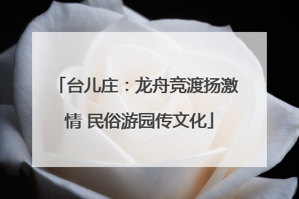 台儿庄：龙舟竞渡扬激情 民俗游园传文化